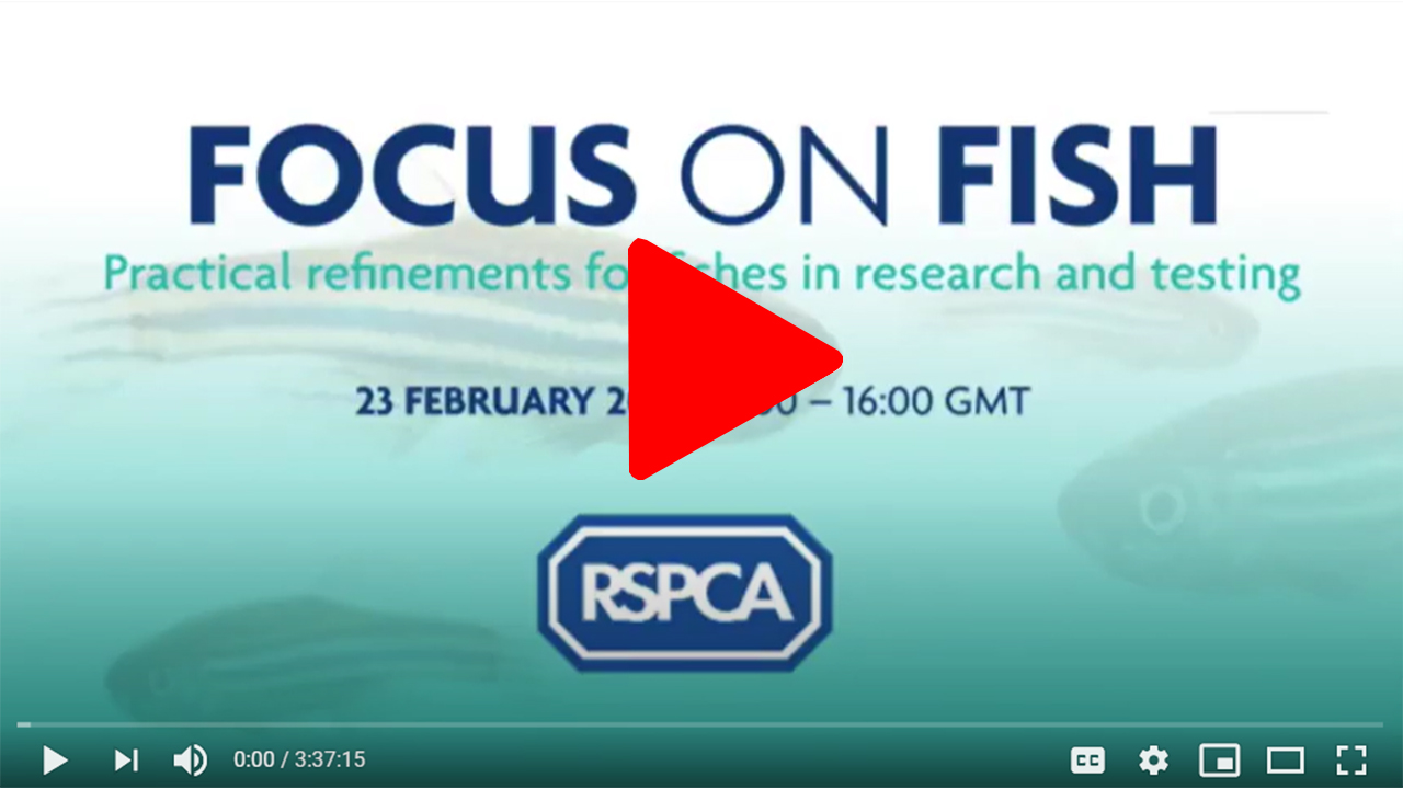 Focus on Fish Event Replay